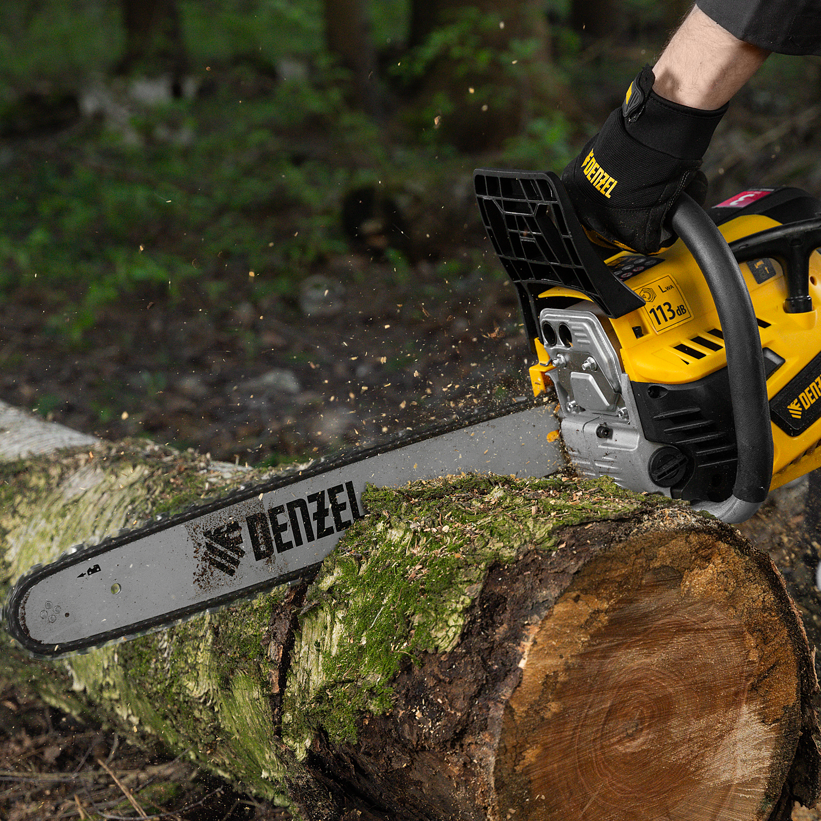 Imagine in miniatura a produsului 15